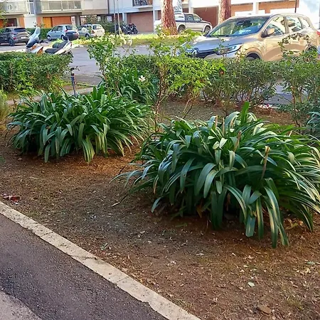 Apartmán La Casa Di Barbanella